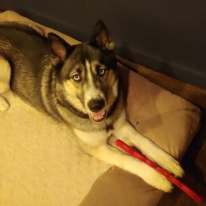 Meet your Posher, Rick